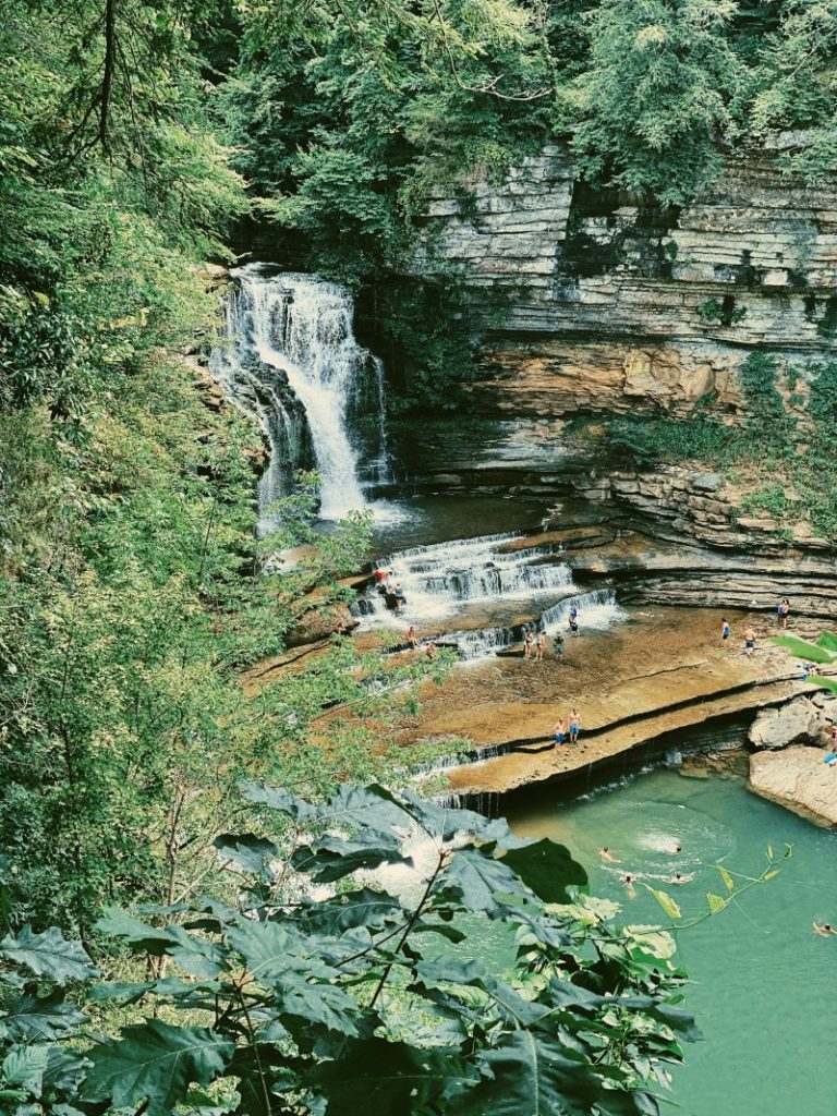 Cummins State Park