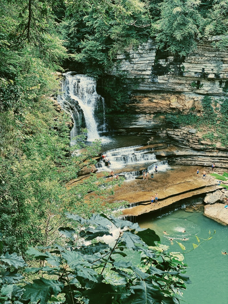 Cummins State Park